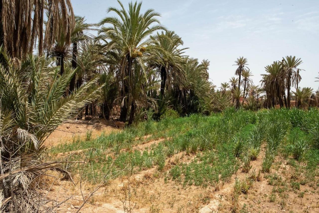 Maison Etoile Du Desert Aït Boukha Dış mekan fotoğraf