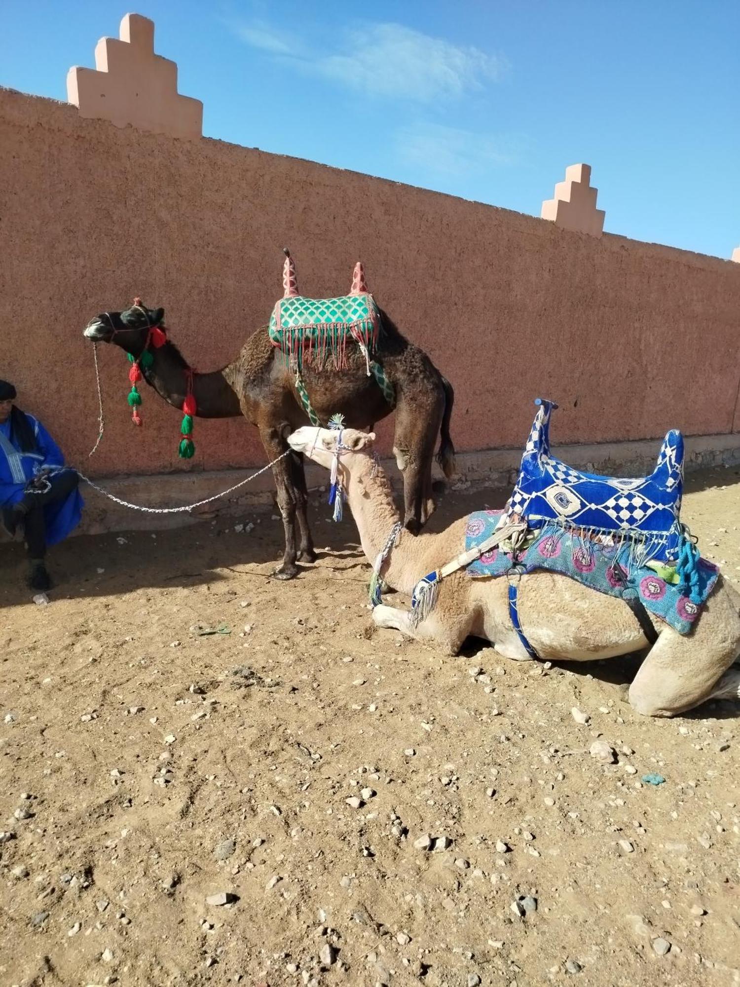Maison Etoile Du Desert Aït Boukha Dış mekan fotoğraf