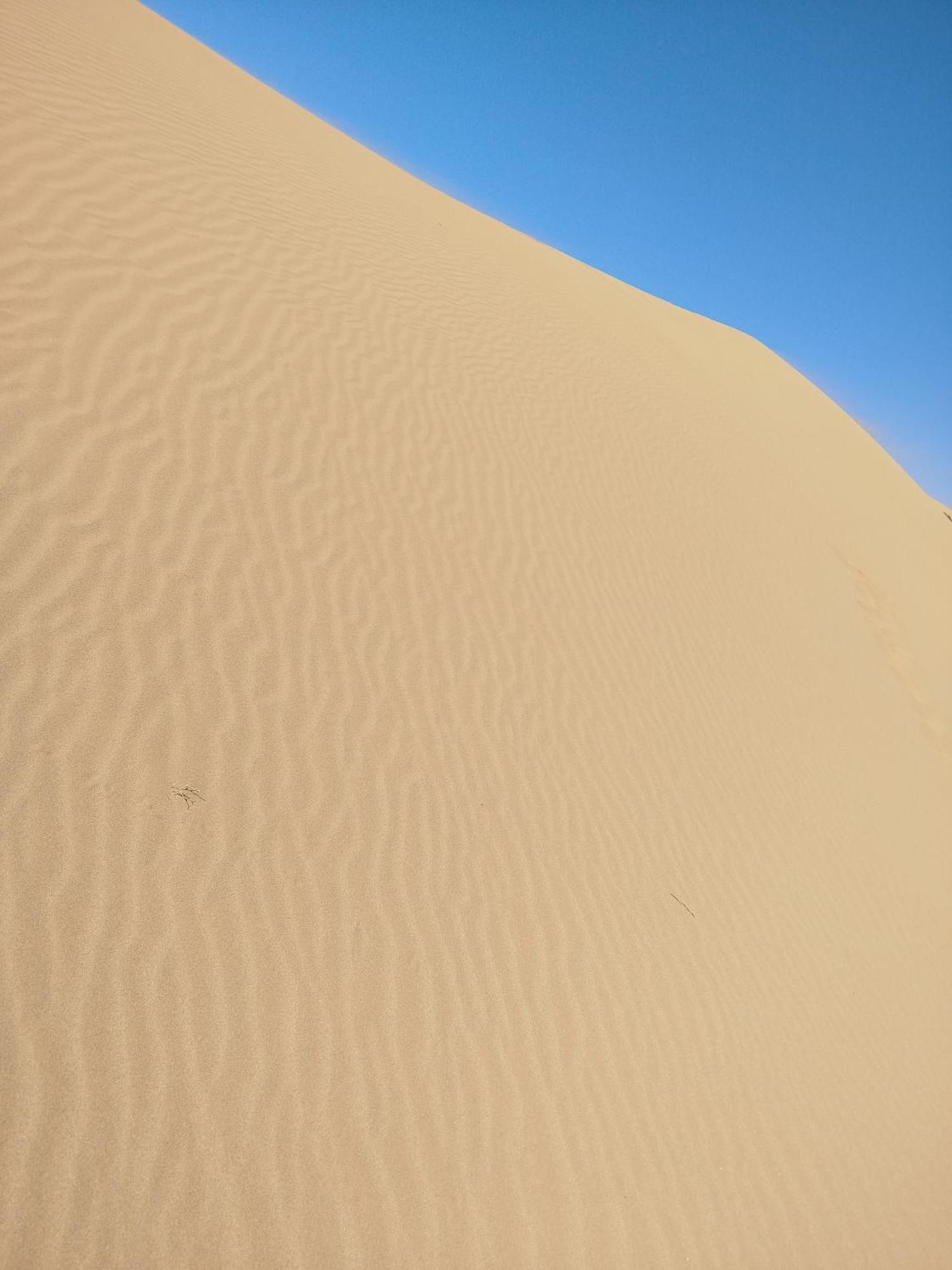 Maison Etoile Du Desert Aït Boukha Dış mekan fotoğraf